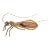 Mid-Century Insect-Form Lamp with Agate Body by Jacques Duval-Brasseur For Sale