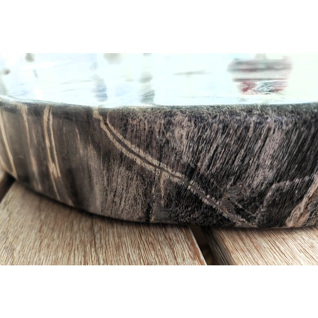 Palecek Petrified Wood Slab For Sale - Image 9 of 11