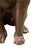 Cast Bronze Sitting Lions, 20th Century, Set of 2 For Sale - Image 8 of 11