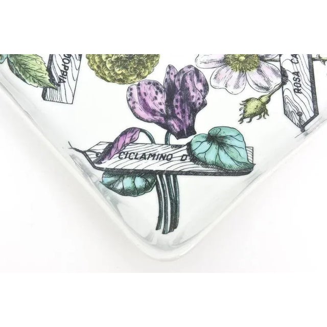 Vintage Piero Fornasetti Rare Porcelain "Botanica Pratica" Square Bowl and Serving Piece, 1950's For Sale In Miami - Image 6 of 8