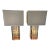 Pair of Glass Cube Lamps and Stainless Steel Metal by Poliarte, Italy, 1970s For Sale