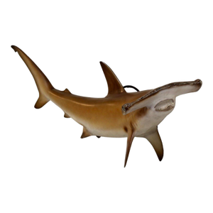 Mid 20th Century Hammerhead Shark Mount
