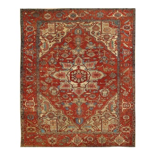 Gently Used New 10x12 Area Rugs Chairish