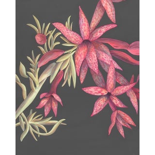 "Scarlet Gilia" Red Flower Painting For Sale