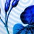French Vintage Blue Morning Glory Archival Print For Sale - Image 3 of 4