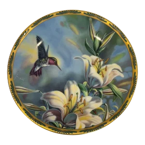Gems of Nature the Beautiful Hummingbirds by Cyndi Nelson