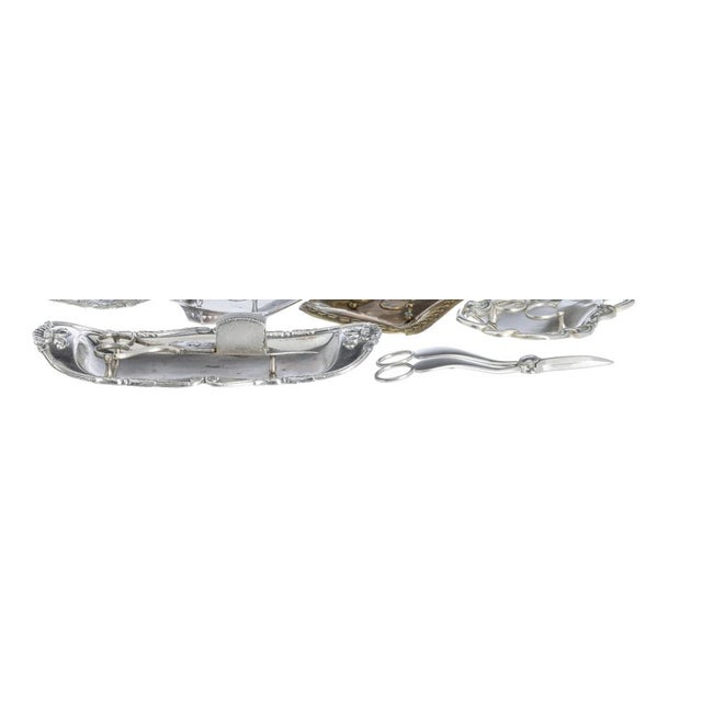 Shears for Skewers and Five Trays, 1800s, Set of 11 For Sale - Image 6 of 8