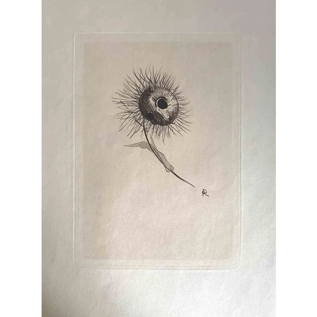 Illustration from the series "Les Fleurs du Mal" is an etching print realized after Odilon Redon and published by Henri...