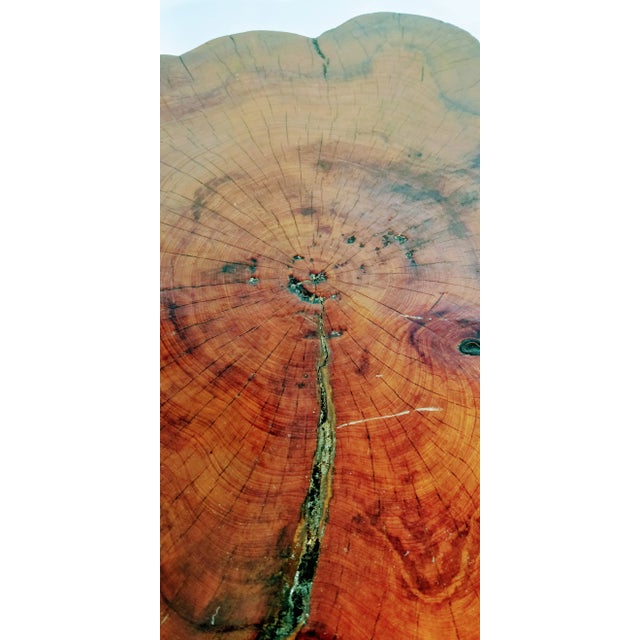 1960 Live Edge Cypress Side Table For Sale - Image 10 of 12
