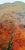 1960 Live Edge Cypress Side Table For Sale - Image 10 of 12