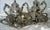 1970s Vintage F. B. Rogers French Rococo Tea & Coffee Set- 5 Pieces For Sale - Image 5 of 6