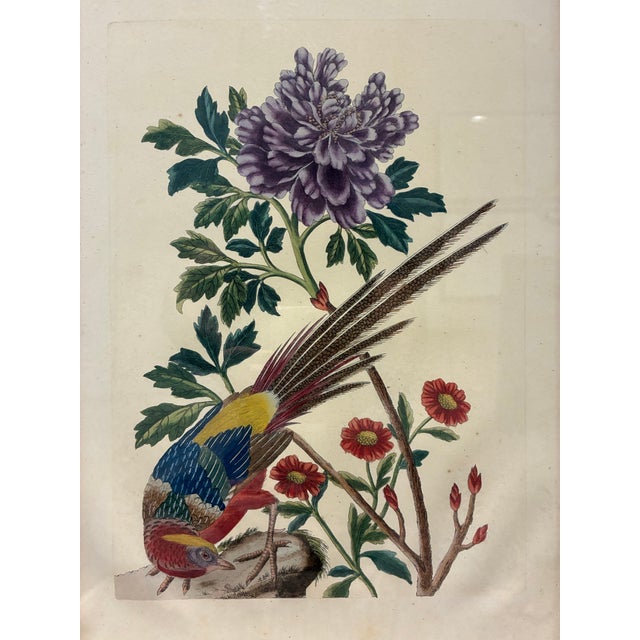 Chinoiserie Pair of Vintage Chinoiserie Pheasant & Floral Botanical Prints in Black & Gold Frames For Sale - Image 3 of 9