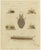 Bertuch, Centipede, Dung Beetle and Ant Lion, 1805, Print For Sale - Image 3 of 12