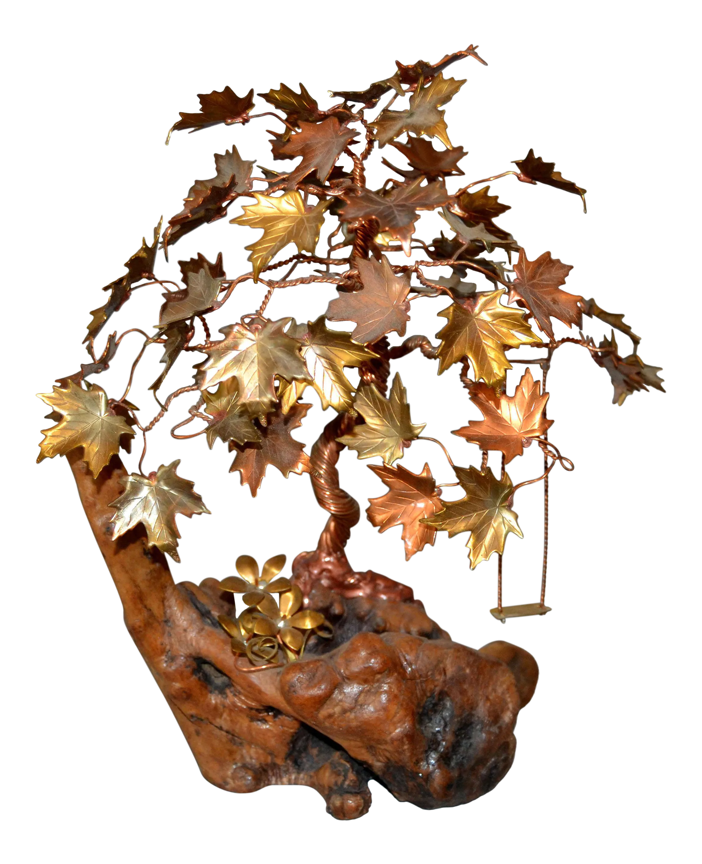 bonsai pdf Simon & Schuster's Guide to Bonsai