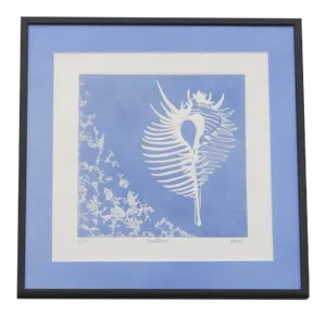 Mid 20th Century Abstract Nautilus Print Numbered 4/100, Framed