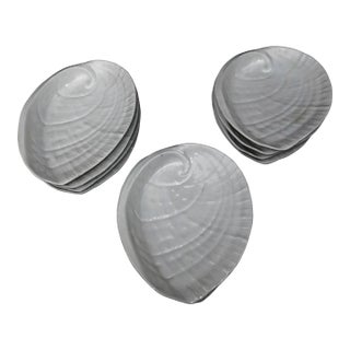White Porcelain Abalone Shell Salad Plates - A Set of 10 For Sale