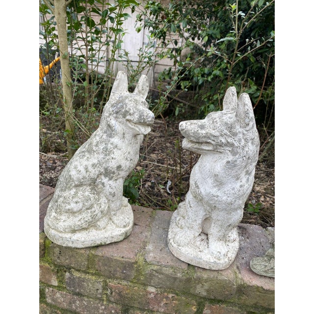 Pair of Concrete Shepherd Dogs, English Mid 20th Century For Sale - Image 9 of 9