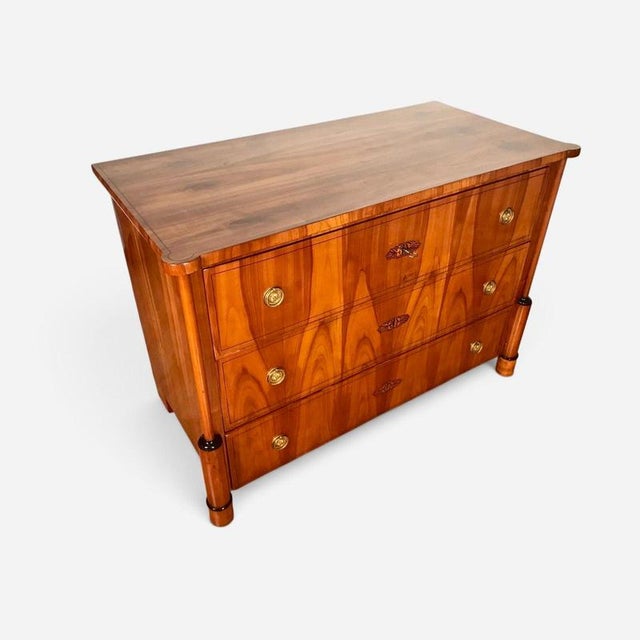 19th Century Antique Biedermeier Cherrywood Chest of Drawers, 1820 For Sale - Image 5 of 13