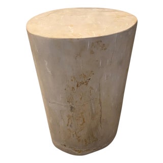 Andrianna Shamaris Super Smooth High Quality Petrified Wood Side Table For Sale