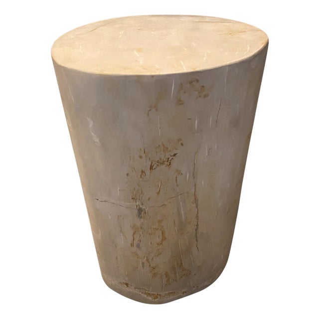 Andrianna Shamaris Super Smooth High Quality Petrified Wood Side Table For Sale