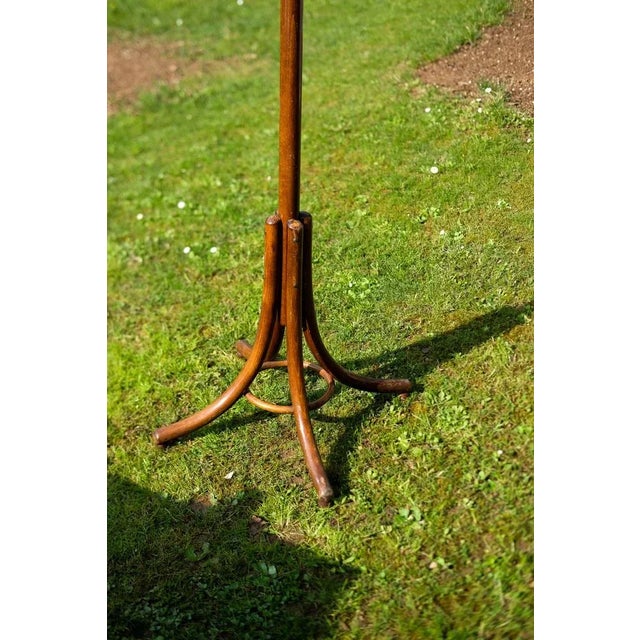 Bauhaus Czechoslovakian Coat Hanger by Michael Thonet, 1900s For Sale - Image 3 of 9