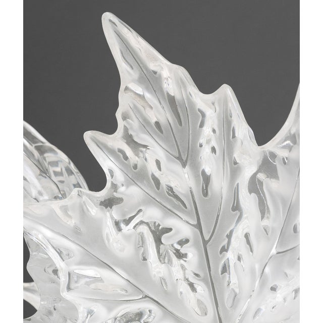 Lalique Champs-Elysees Chandelier For Sale In New York - Image 6 of 16
