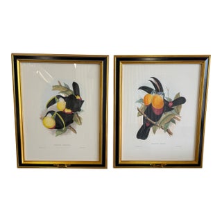 1960s Tucan Botanical Prints - A Pair For Sale