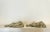 Antique Rococo Revival Plaster Cherub Relief, a Pair For Sale - Image 9 of 12