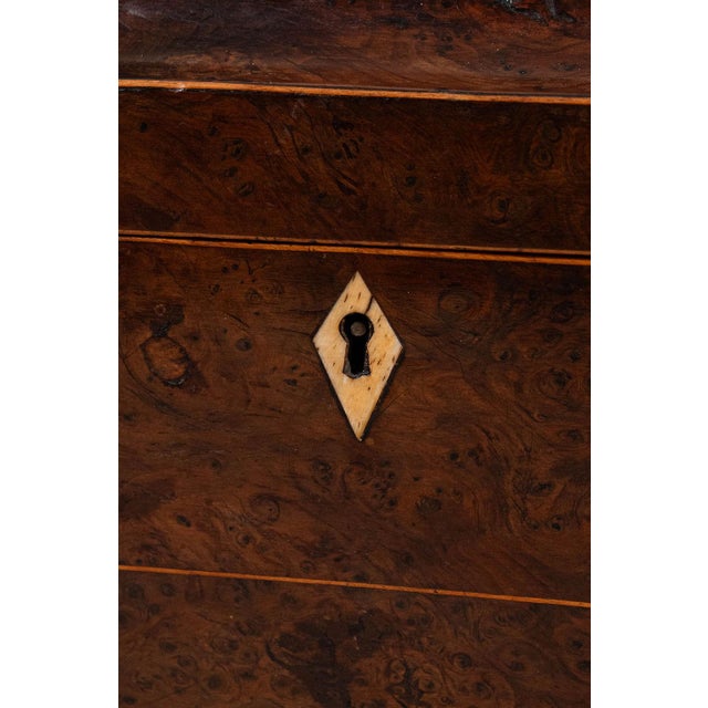 Regency Burl Yew Tea Caddy (C. 1820) For Sale In Charleston - Image 6 of 10