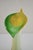 Green Green and Yellow Murano Glass Vase, 1970s For Sale - Image 8 of 12