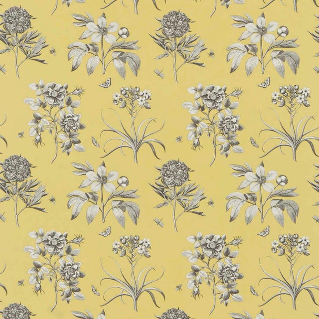 Sanderson Etchings & Rose Fabric in Empire Yellow For Sale