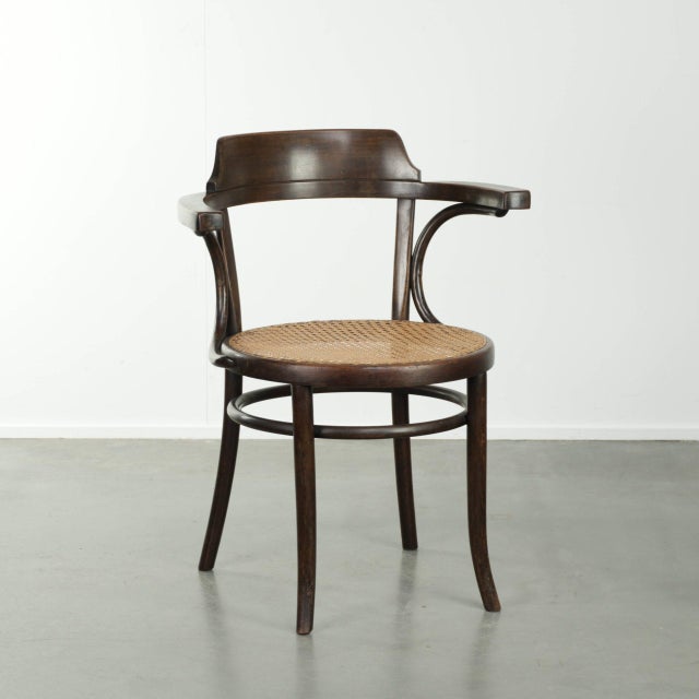 Vintage Webbing Armchair in Curved Wood For Sale - Image 13 of 13