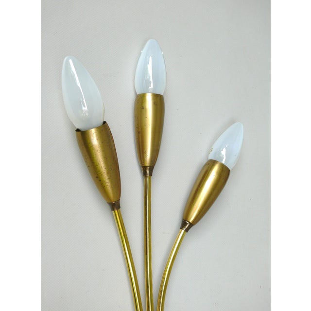 Gold Vintage Wall Lights in Brass, 1950s, Set of 2 For Sale - Image 8 of 18