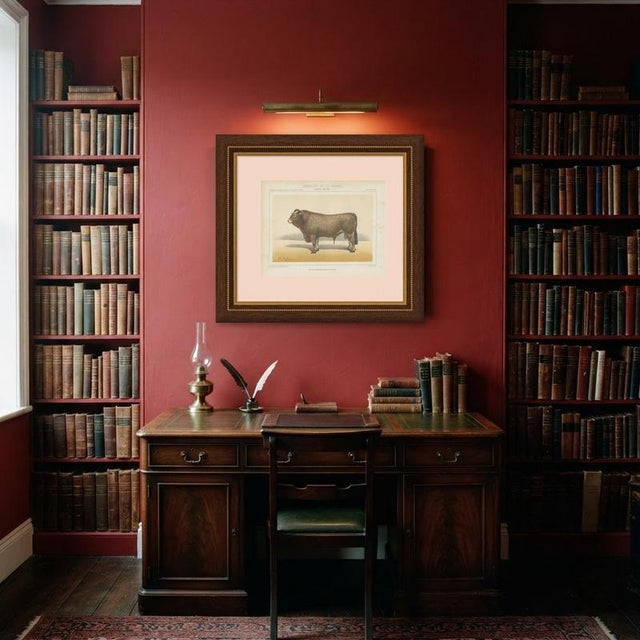 Gold Olivier De Penne, Bazadaise Bull, French Cattle, 1863, Chromolithograph For Sale - Image 8 of 9