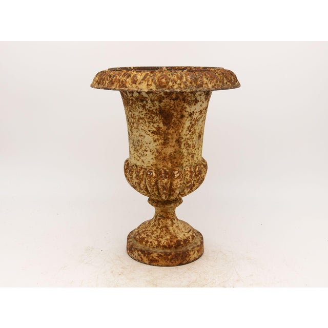 Late 19th Century Single Rusty Cast Iron Urn, French Early 20th Century For Sale - Image 5 of 10