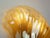 Mid-Century Modern Hollywood Regency Style Wall Sconce with Shell-Shaped Lustrous Glass Shade, 1960s For Sale - Image 14 of 15