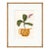 Botanical Studies by Susan Hable, Set of 6 For Sale