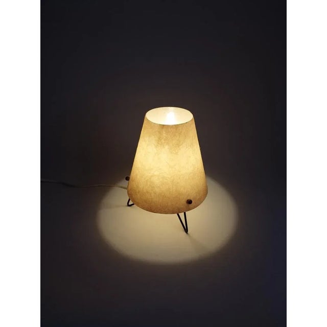 Mid-Century Table Lamp with Fiberglass Shade, 1950 For Sale - Image 6 of 10