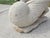 1980s Whimsical Outdoor Cast Stone Planter of Frog Pulling a Snail Shell For Sale - Image 4 of 11
