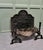 Very Heavy Large Fire Back with Andirons and Large Grate The fire has a friendly looking lion with a Rose, a thistle , a...