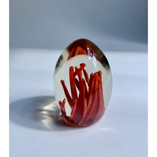 Fulvio Bianconi Murano Style Coral Paper Weight For Sale In New York - Image 6 of 17