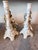Dresden Porcelain Von Schierholz Handmalerei Dresden Cherub Putti Flower Candle Holders-Pair For Sale - Image 4 of 12