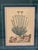 Beautiful framed botanical engraving-style print featuring Helichrysum Citrina with decorative ribbon banner and...