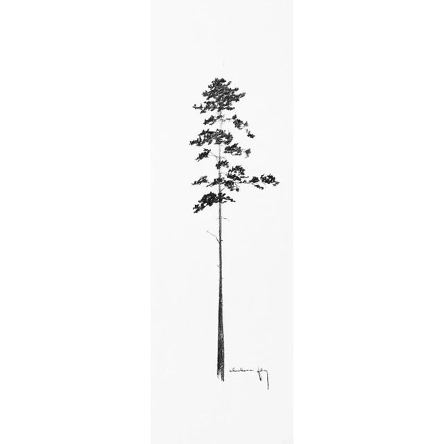 "Print Collection: Tree Study" Contemporary Original Black and White Landscape Print on Paper For Sale