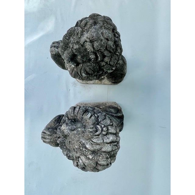 Dark Gray 1960s Cast Stone Lions Garden Statues - Set of 2 For Sale - Image 8 of 10