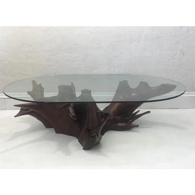 Spanish Mid Century Spanish Walnut Root Glass Top Coffee Table For Sale - Image 3 of 15