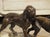 A French 1930s Hunting Dog Group on Marble Base For Sale - Image 4 of 18