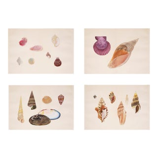 Reproduction Antique Japanese Shell Painting Set of 4 - Unframed 16" X 20" For Sale