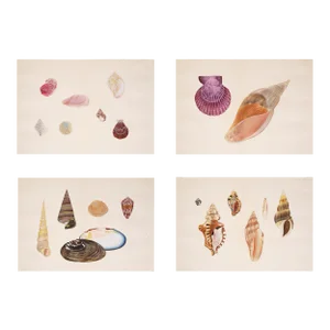 Reproduction Antique Japanese Shell Painting Set of 4 - Unframed 16" X 20"