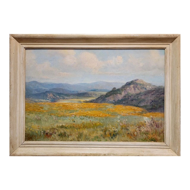 Charles Abel Corwin -1910s Springtime California Poppy Field-Oil Painting For Sale